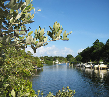 Earman River, North Palm Beach